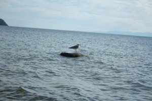 Байкал - фото 18